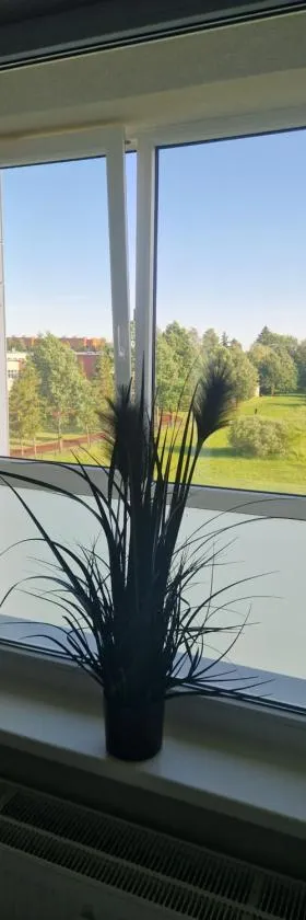 Apartamentai Naujojoje Akmenėje，位于Naujoji Akmenė的酒店