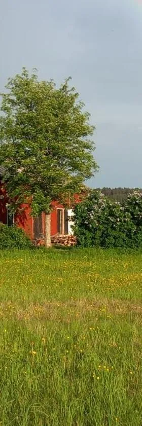 LadansLoft，位于Stöllet的酒店