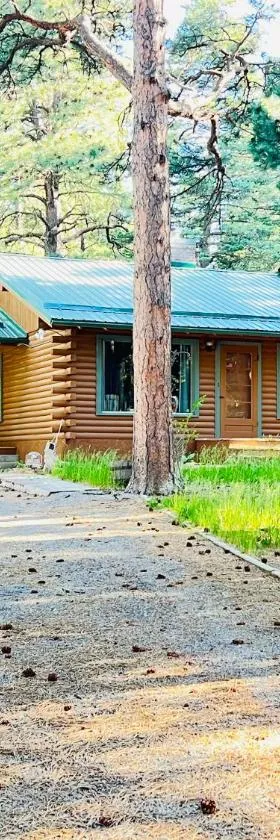 Cozy Cabin on the Creek，位于Colorado City的酒店