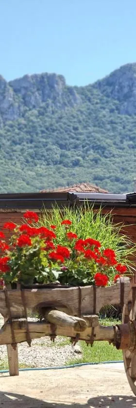 Konak -Guest house -Ramonda Serbika，位于尼什的酒店
