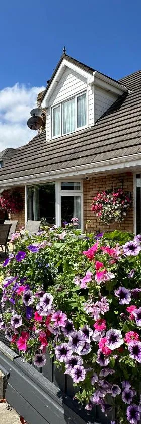 Malahide Guest Rooms，位于马拉海德的酒店
