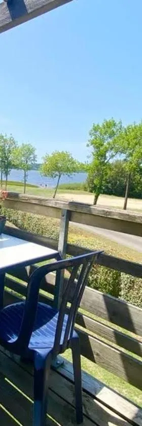 Les Terrasses du Lac piscine et vue Lac A4，位于欧雷扬的酒店