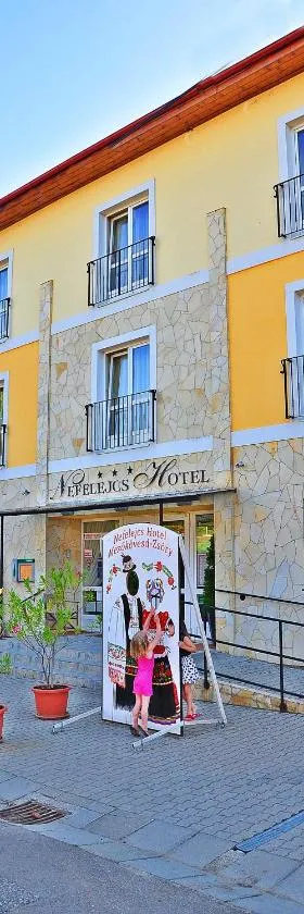 Nefelejcs Hotel，位于迈泽克韦什德的酒店