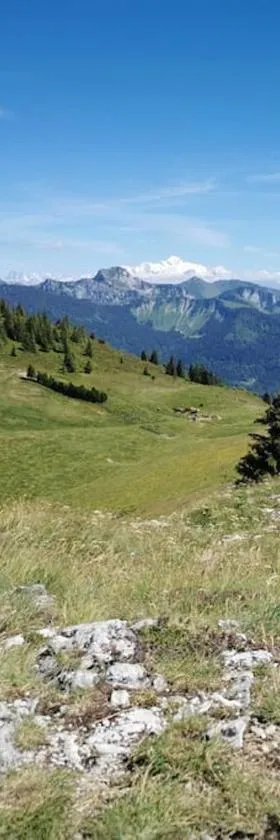appartement montagne la vallée verte cœur station Hirmentaz，位于贝勒沃的酒店
