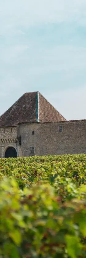 Chateau Eck，位于Cadaujac的酒店