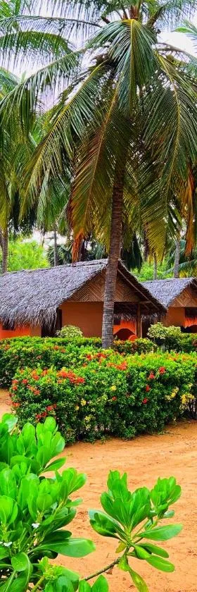 Roshanne Beach Resort，位于卡尔皮蒂耶的酒店