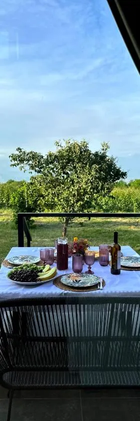Villa Tsinandali，位于Tsinandali的酒店