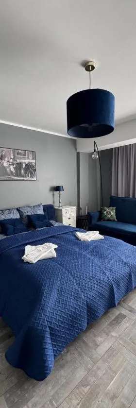 APARTAMENTY CENTRUM，位于奥得河畔科斯琴的酒店