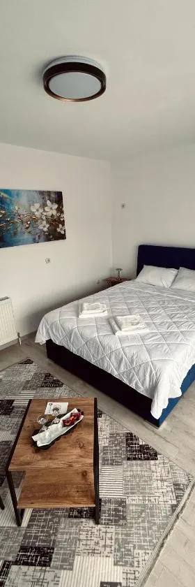 GreenHill Apartments，位于库马诺沃的酒店