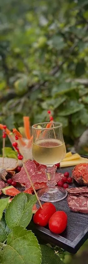 Ferme-auberge le cochon du Madres，位于Escouloubre的酒店