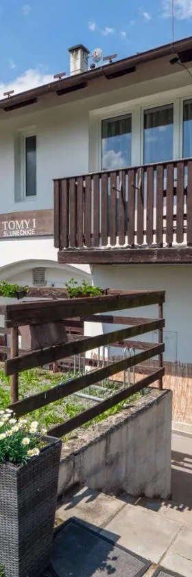 Penzion Tomy1，位于霍尼普拉纳的酒店