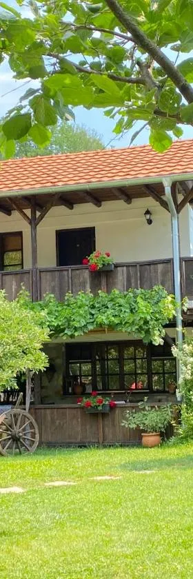 Konak Tosa，位于Poganovo的酒店