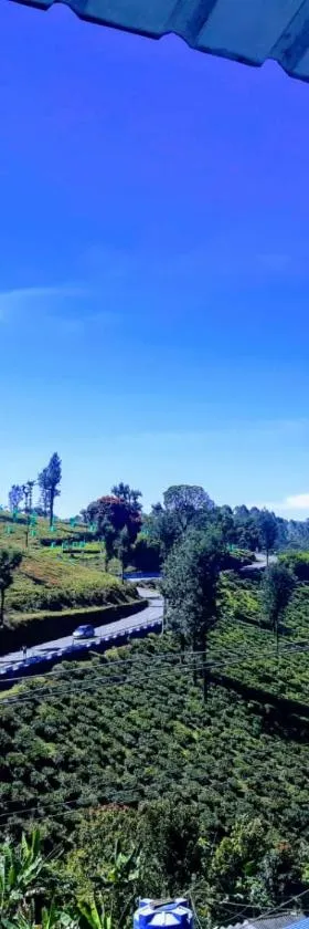 RIVERVIEW HOMESTAy，位于瓦尔帕莱的酒店
