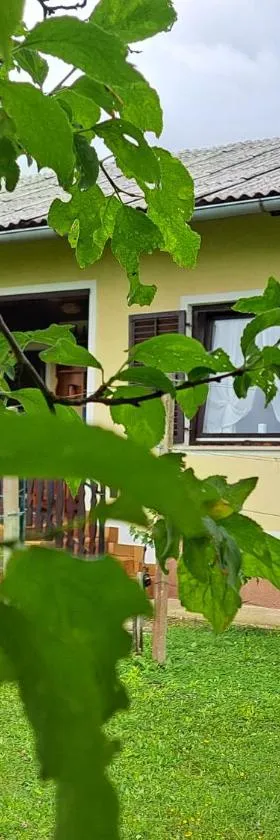 Vikend Haloze-Zagorje，位于Jarki的酒店