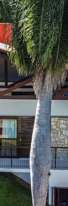 Casa Bambu，位于阿雷亚的酒店