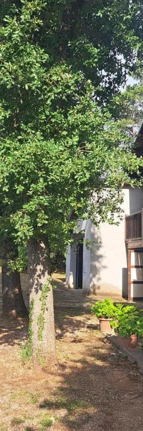 La casa del pi，位于El Pi de Sant Just的酒店