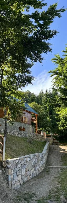 Cottage Under the Tresnjevik，位于Andrijevica的酒店