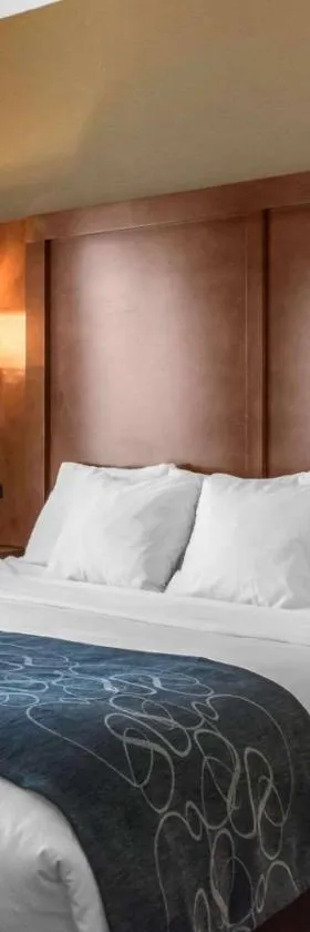 Comfort Suites Scranton near Montage Mountain，位于斯克兰顿的酒店
