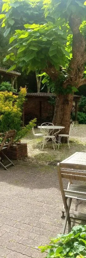 莱斯夏米尔住宿加早餐旅馆，位于圣让德洛讷的酒店