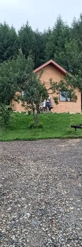 BIESZCZADZKA Antosiówka，位于Zahoczewie的酒店
