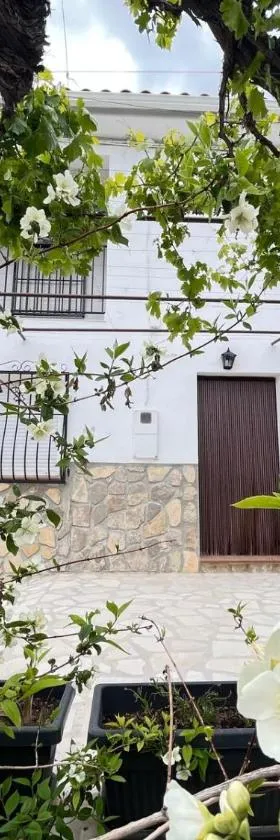 El Olivar de la Solana，位于卡斯特里尔的酒店