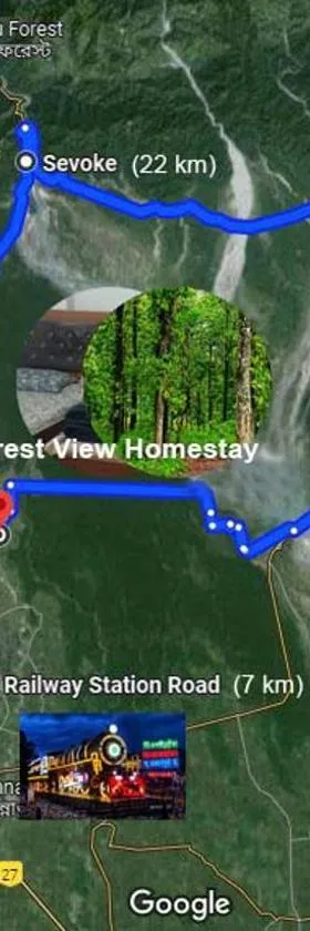 Forest View Homestay，位于西里古里的酒店