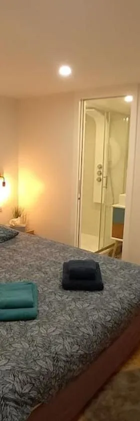 Le Cocon Cosy proche gare，位于圣热讷维耶夫代布瓦的酒店
