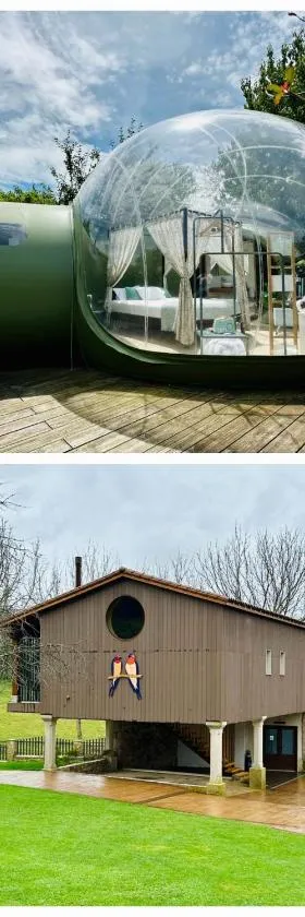 REMANSO DE TRASFONTAO Casa das Árbores & Bubble，位于锡列达的酒店