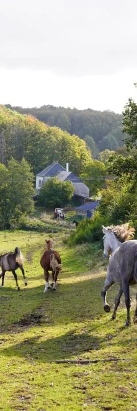 Ferme Équestre Equi'Cantal，位于Montboudif的酒店