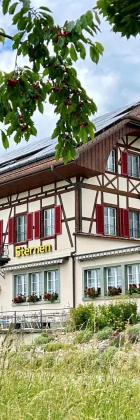 Gasthof Sternen Detligen，位于Detligen的酒店