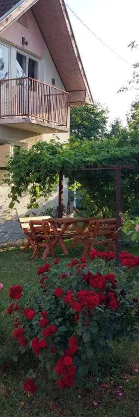 Kuca - STUDIO，位于Požega的酒店