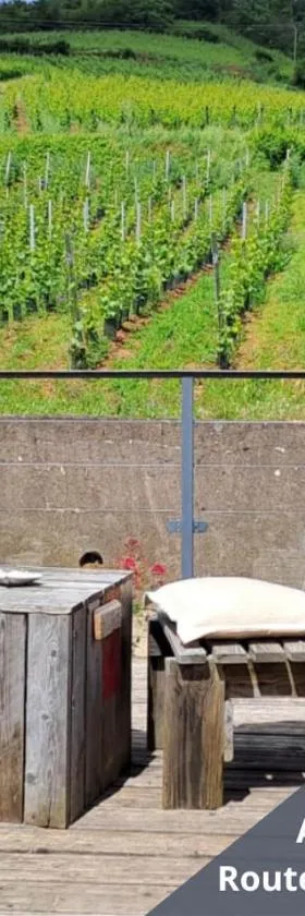 Au pied des vignes, cocon douillet et chaleureux !，位于贝格海姆的酒店