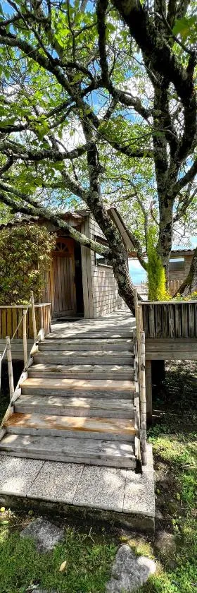 Cabane en bois climatisée，位于Fronsac的酒店