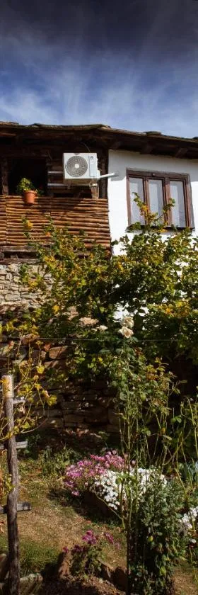 Porodična kuća Vitina Iža，位于皮罗特的酒店