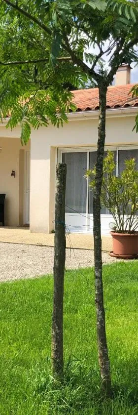Gîte “Les reflets de la Charente”，位于Condac的酒店