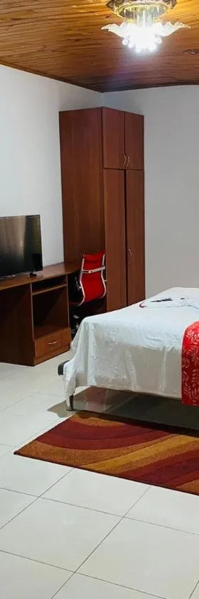 Hotel Andes，位于弗洛伦西亚的酒店