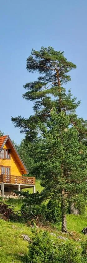Ljeljen koliba，位于Sokolac的酒店