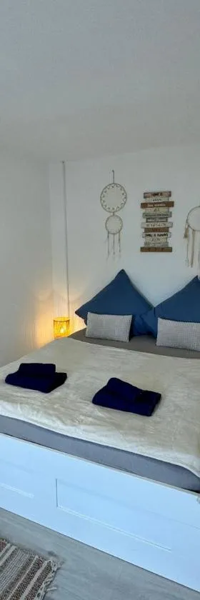 BOHO Apartment Vintage nähe Salzburg，位于弗赖拉辛的酒店