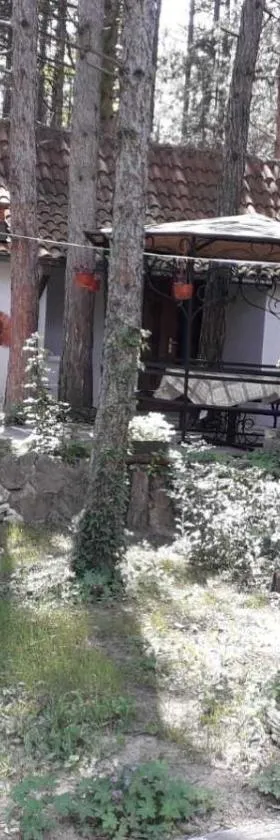 Apartman medju borovima，位于Vinci的酒店