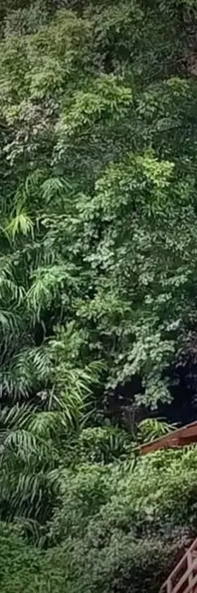 Knuckles Backpackers Hut with waterfall view，位于Kaduwela的酒店