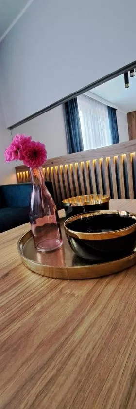 Apartament SZAFIR，位于Zastań的酒店