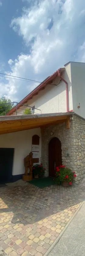 Borház，位于Dédestapolcsány的酒店