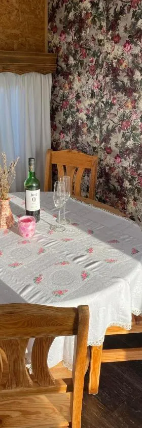 Przyczepa holenderska domek I，位于Przemysław的酒店