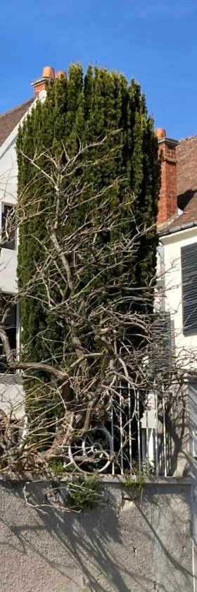La Villa Lauvray，位于Vétheuil的酒店