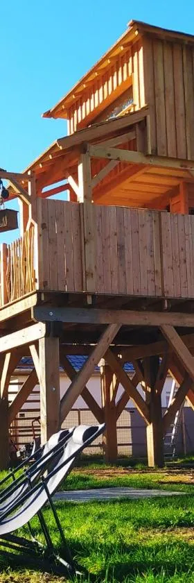 La cabane au bain perché，位于Aspach的酒店