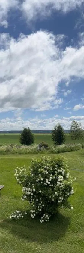 Beautiful Big Farm House with Spectacular Meteor Site View，位于瓦萨的酒店