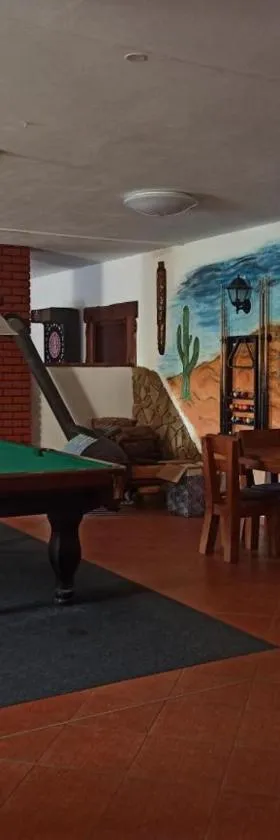 penzion U Kmotra，位于Borovany的酒店