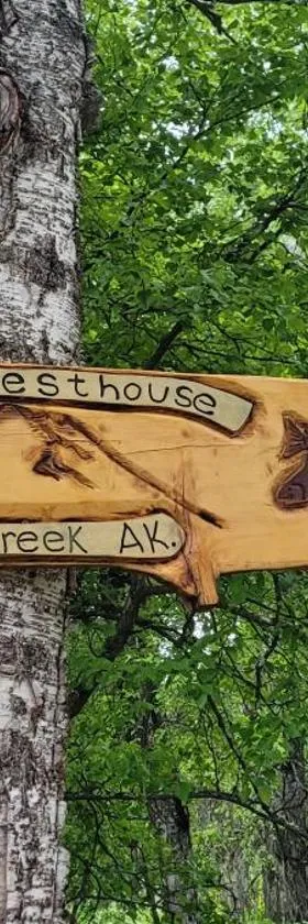 Lucky Guesthouse，位于Trapper Creek的酒店