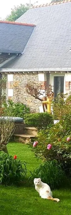 Entre Loire et Vignes，位于Juigné-sur-Loire的酒店