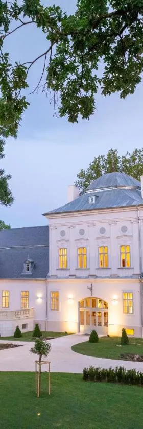 Geszt, Tisza-kastély, Arany János Vendégház és Étterem，位于Geszt的酒店